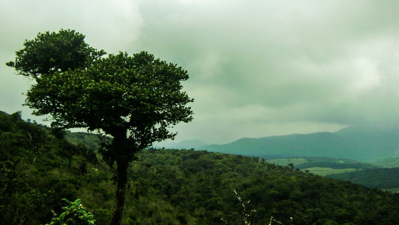 Thotupola-Kanda2 Thotupola-Kanda2