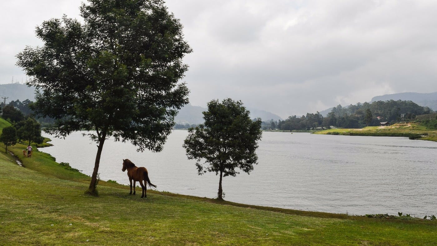 Gregory-Lake-Nuwara-Eliya-4 Gregory-Lake-Nuwara-Eliya-4