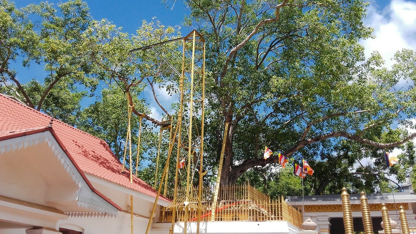 Jaya-Sri-Maha-Bodhi-Anuradhapura-Sri-Lanka-1 Jaya-Sri-Maha-Bodhi-Anuradhapura-Sri-Lanka-1