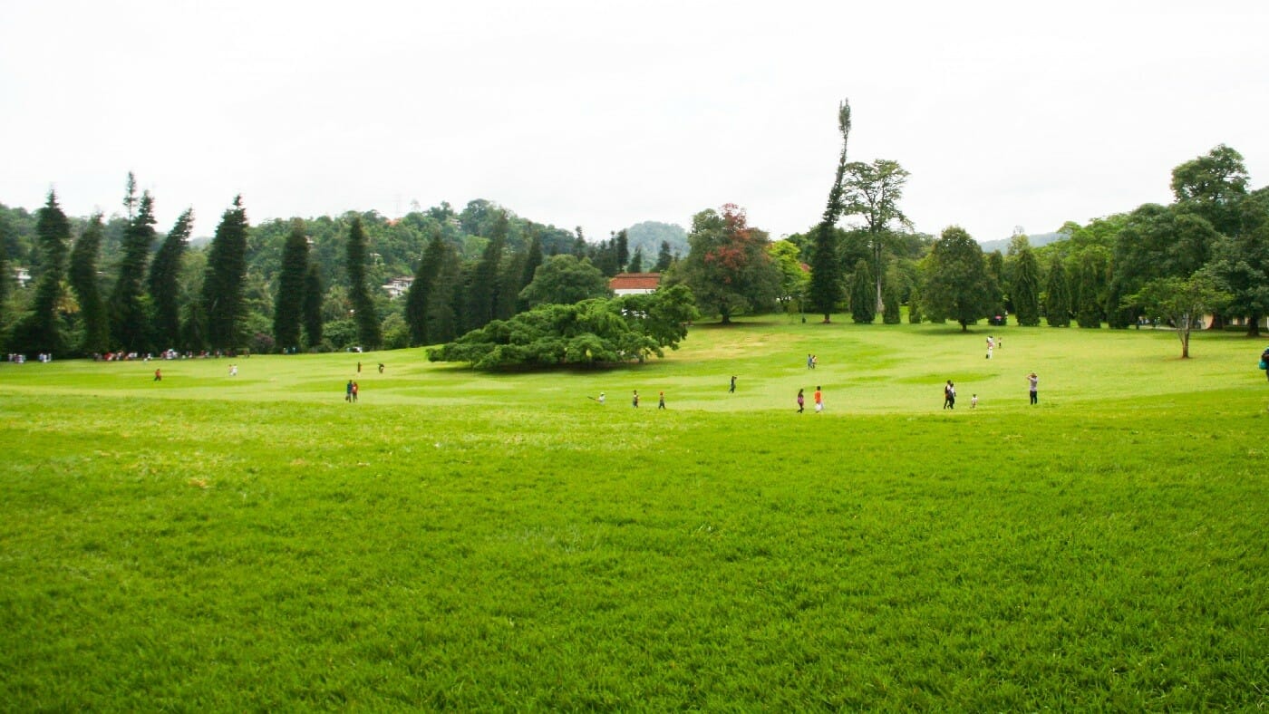 Peradeniya-Botanical-Garden Peradeniya-Botanical-Garden