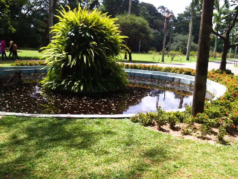 Henarathgoda-Botanical-Garden-Gampaha-1