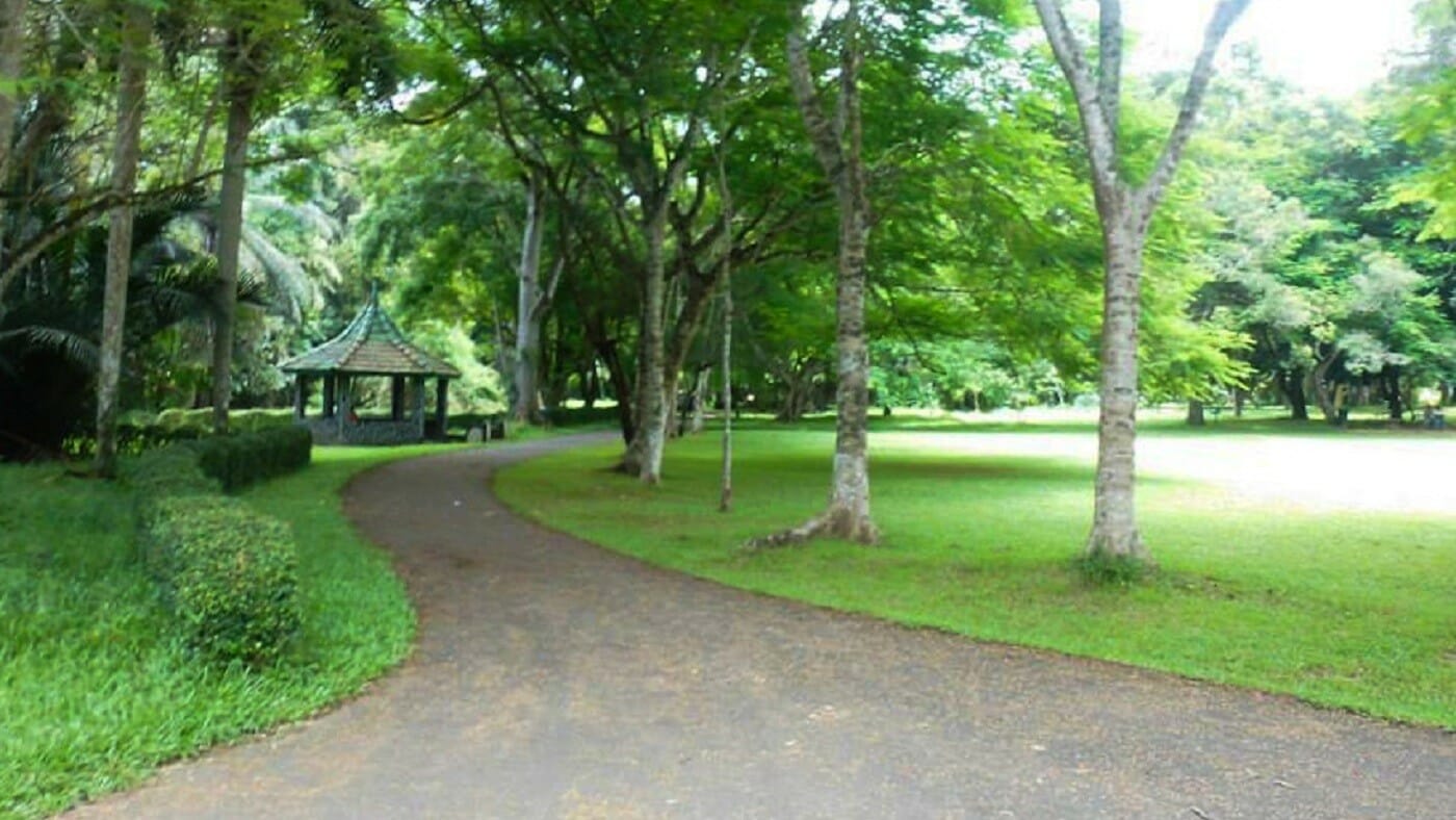 Henarathgoda-Botanical-Garden-Gampaha-15 Henarathgoda-Botanical-Garden-Gampaha-15
