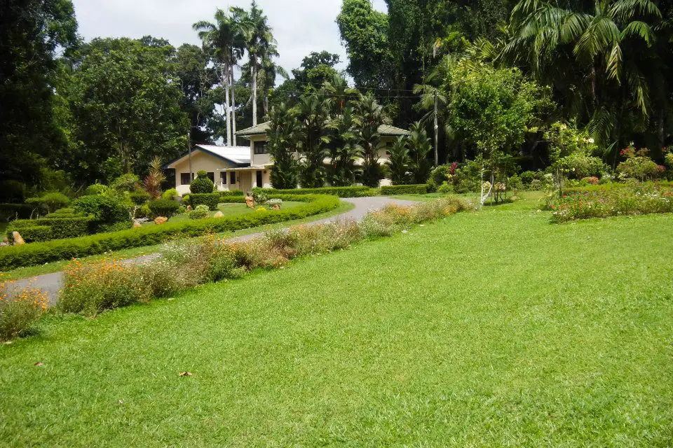 Henarathgoda-Botanical-Garden-Gampaha-8