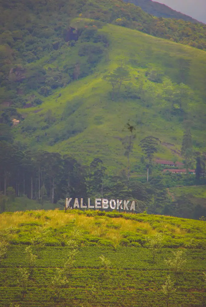 Kallebokka-View-Point-6