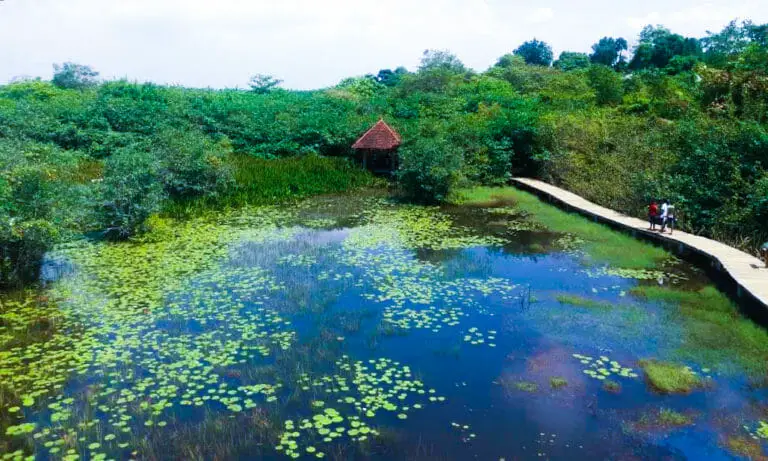 Diyasaru Park Thalawathugoda 1 768x461