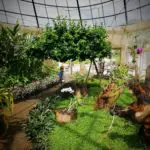 Dry Zone Botanic Gardens Mirijjawila Hambanthota 1 150x150