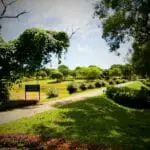 Dry Zone Botanic Gardens Mirijjawila Hambanthota 2 150x150