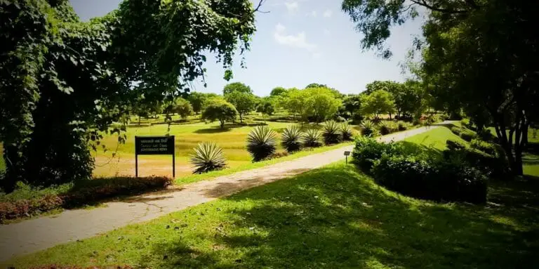 Dry Zone Botanic Gardens Mirijjawila Hambanthota 2 2 768x383