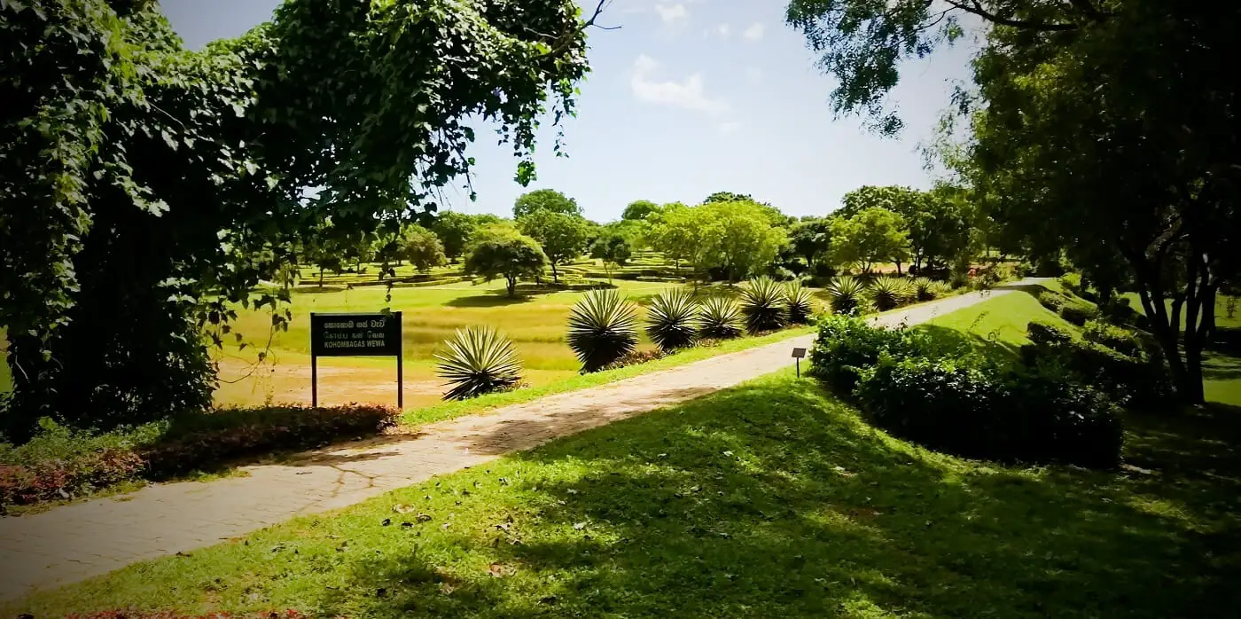 Dry Zone Botanic Gardens Mirijjawila Hambanthota 2 2